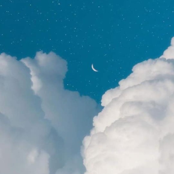 Meet your Posher, Lily - Picture 1 of 1